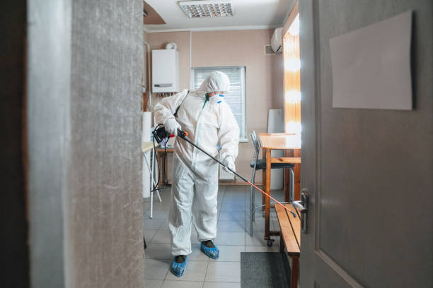 Best Crawl Space Mold Remediation  in Lowell, MA