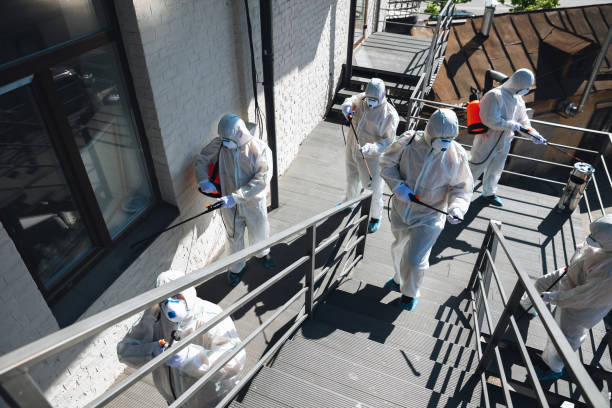 Best Post-Construction Mold Inspection  in Lowell, MA