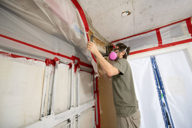 Mold Remediation for Rental Properties