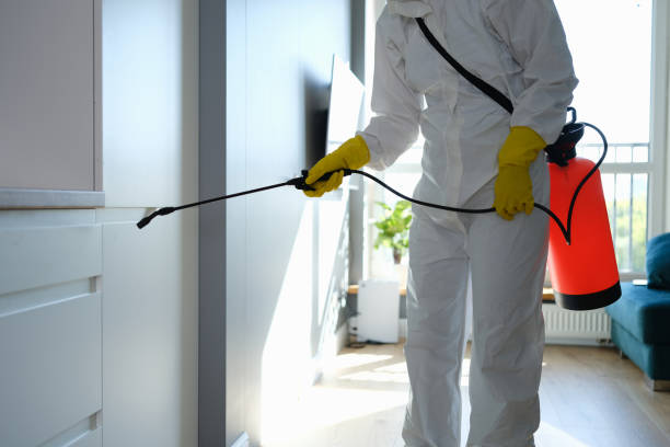 Best Residential Mold Inspection & Testing  in Lowell, MA
